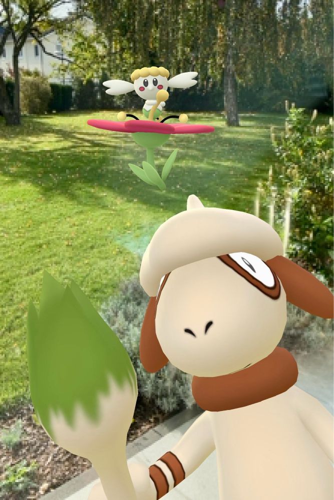 2 Pokémons in meinem Garten.