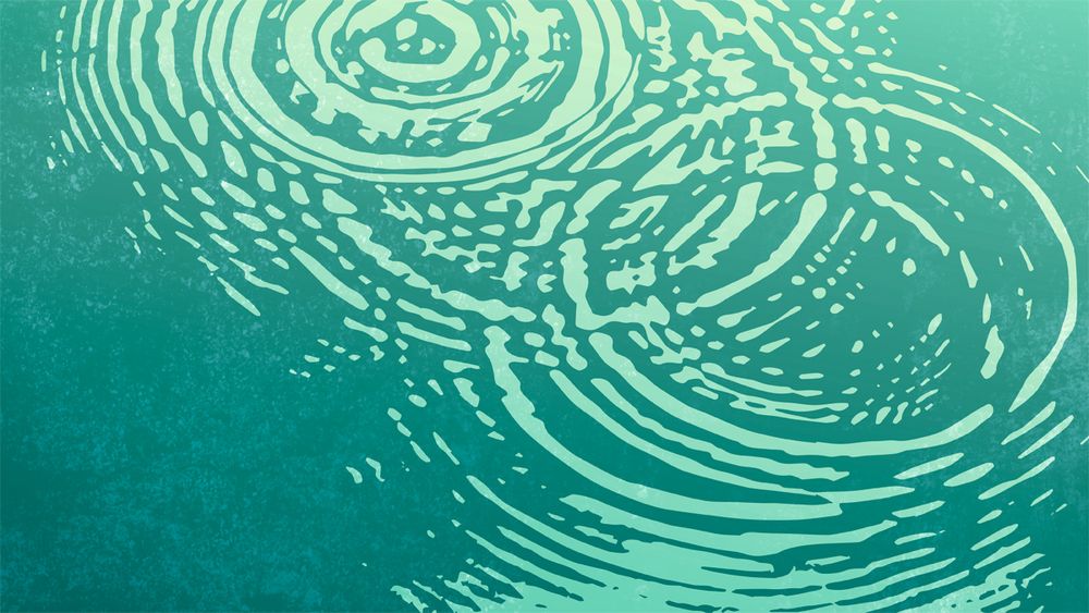 The surface of a body of water is perturbed by circular ripples that cross with each other forming random patterns.