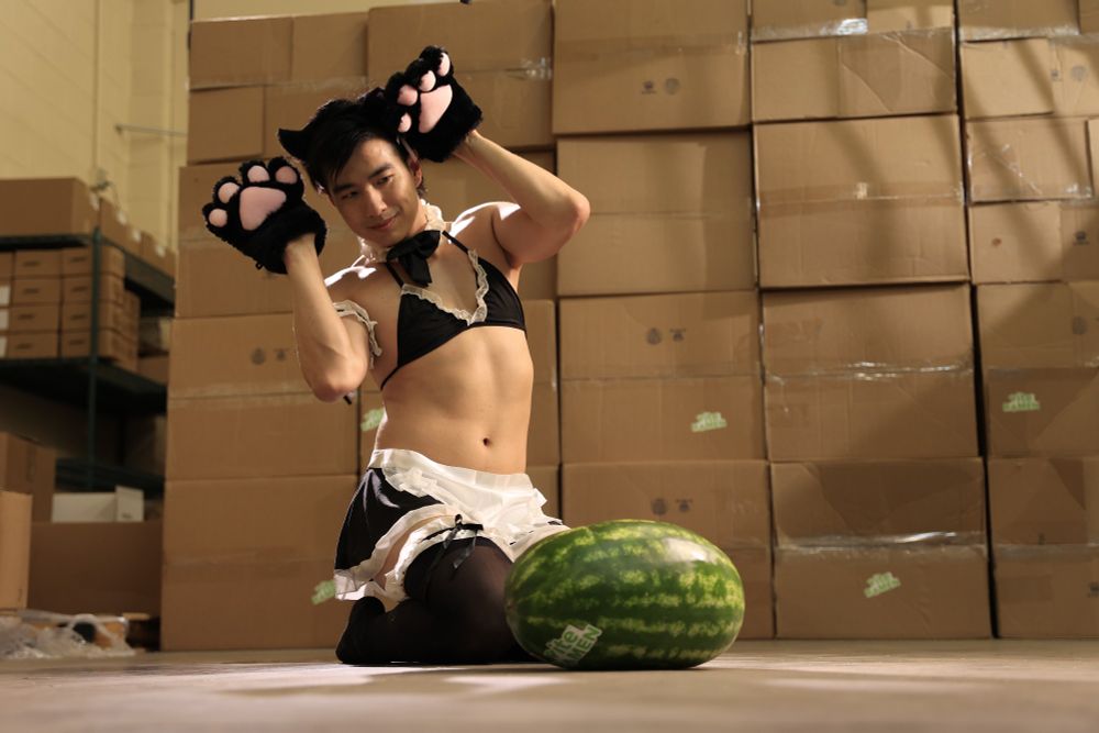 Catboy maid