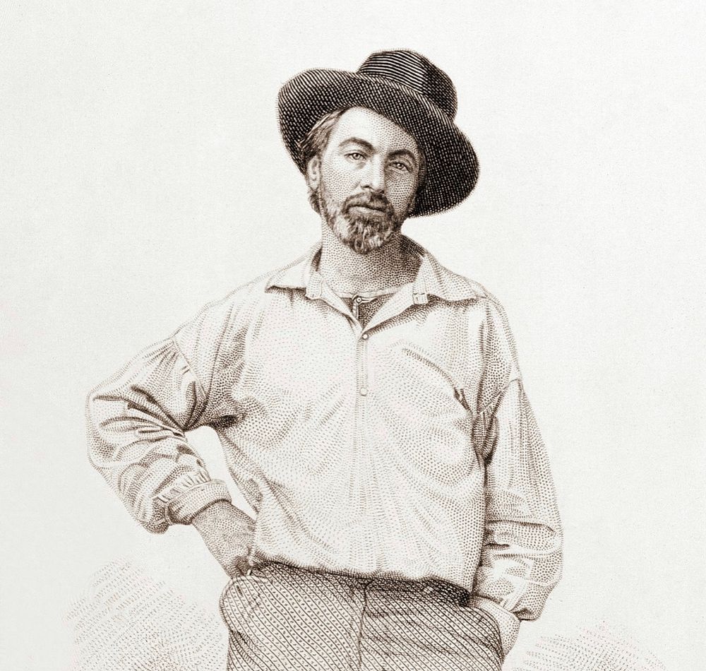 A youngish Walt Whitman, as depicted in Leaves of Grass.