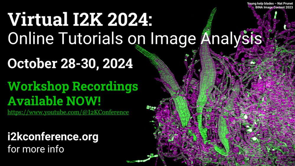 Virtual I2K Flyer notifying that the Recordings are available on the I2K YouTube channel: https://www.youtube.com/@I2KConference