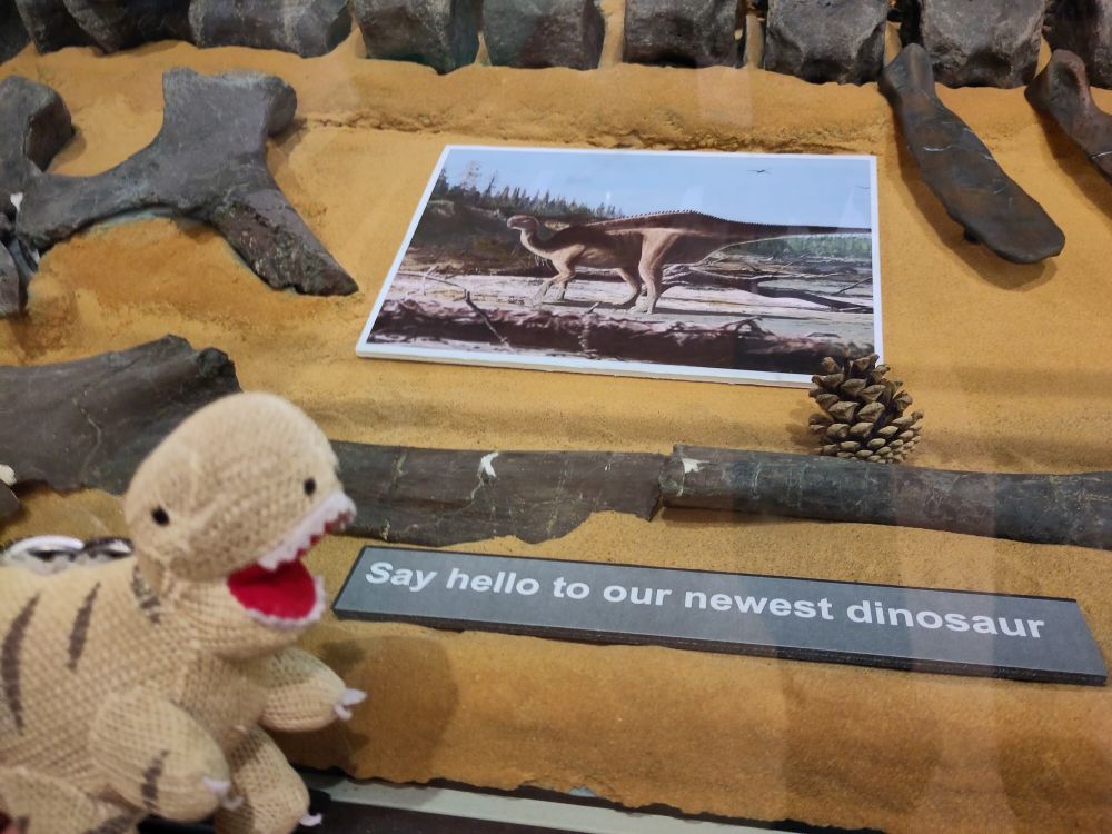 Fossilised bones of the newly discovered dinosaur Istiorachis Mccarthurae with an artists reconstruction in the centre and a stuffed dinosaur on the left