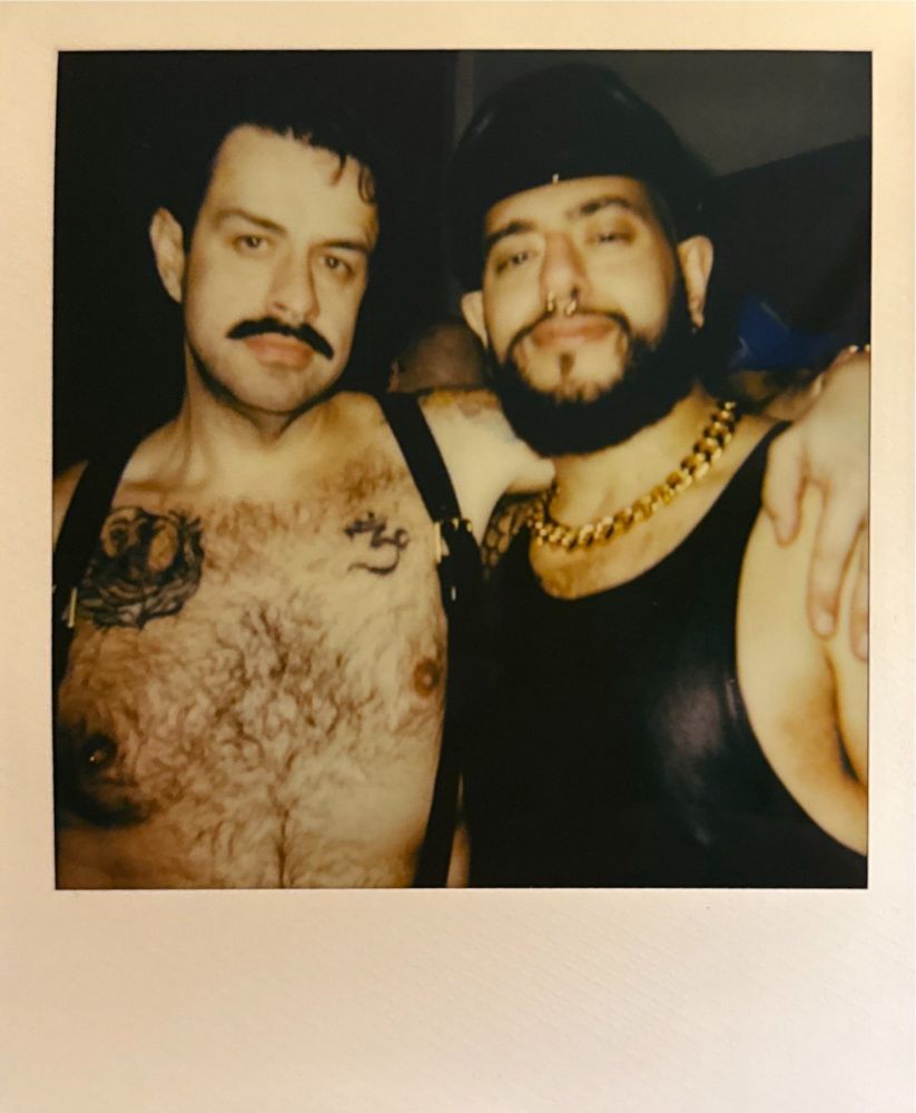Studs at Daddybone