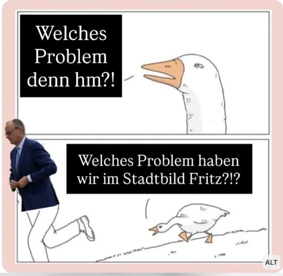 Das Bild zeigt ein Meme mit einer Gans und einem Mann. Oben fragt die Gans: „Welches Problem denn hm?!“. Im unteren Teil rennt ein Mann, während eine Gans ihm nachläuft und ruft: „Welches Problem haben wir im Stadtbild Fritz?!?“