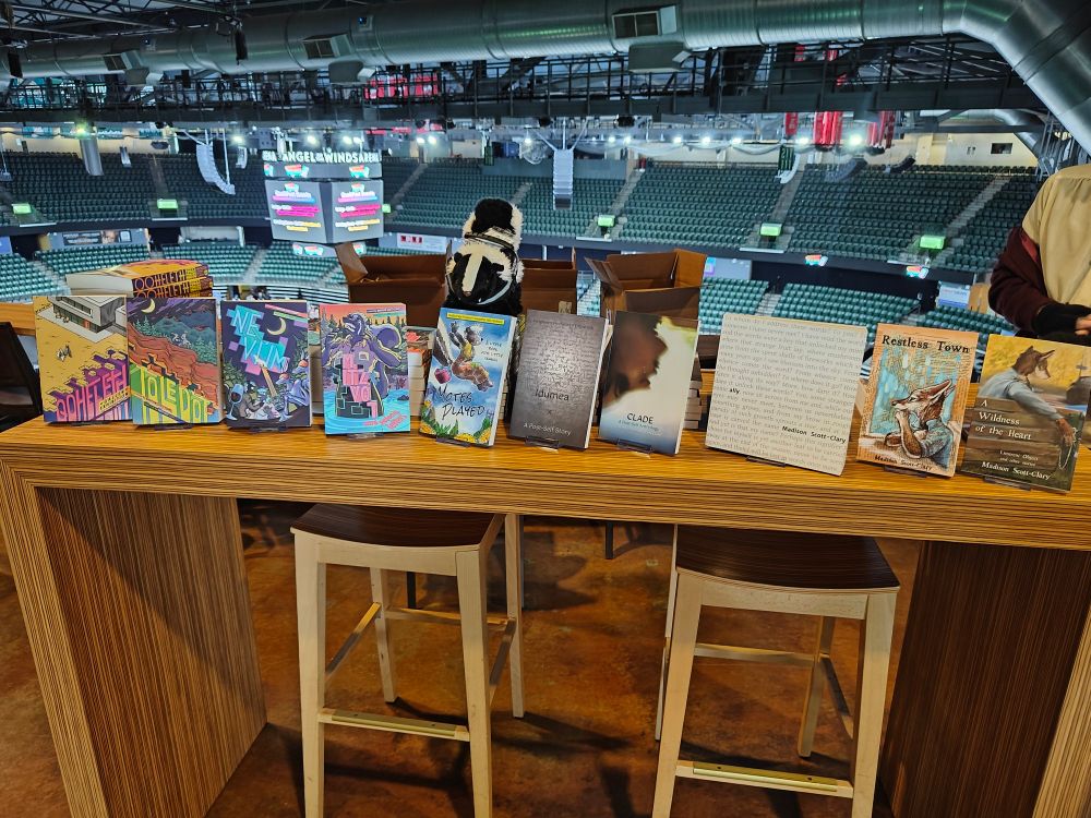 A bunch of books on display at a convention