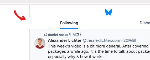 Screenshot of Bluesky web app. A left side of the border looks missing and it's indicated by red arrow drawn by me