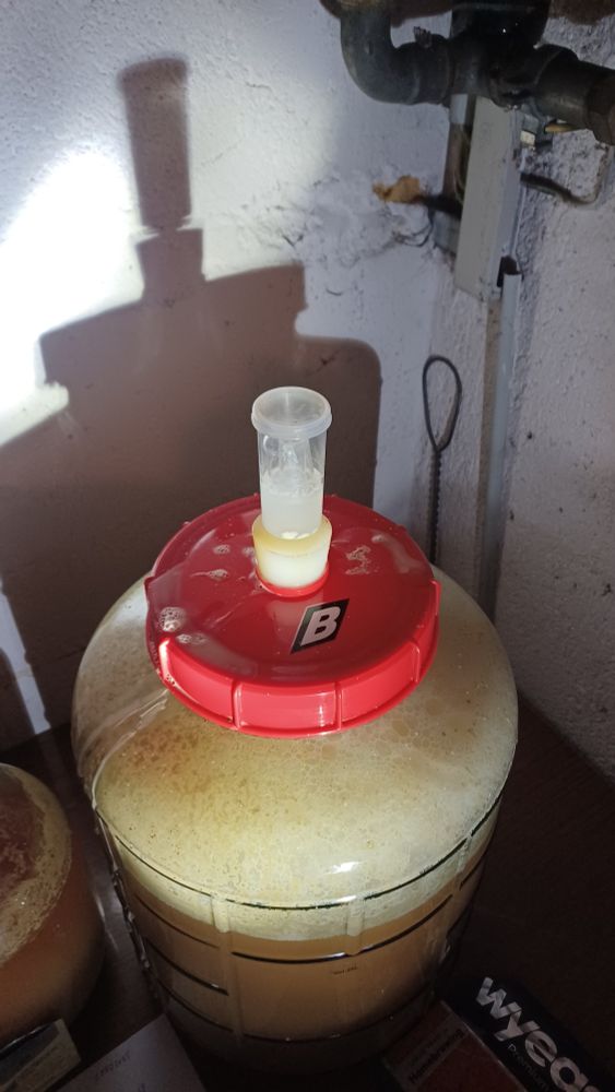 This carboy was bubbling with high krausen right up to the airlock but is now mellow. I expect a rejuvenated fermentation after adding the extra fermentable sugars.... Shooting for a Belgian Honey IPA. Prost! 