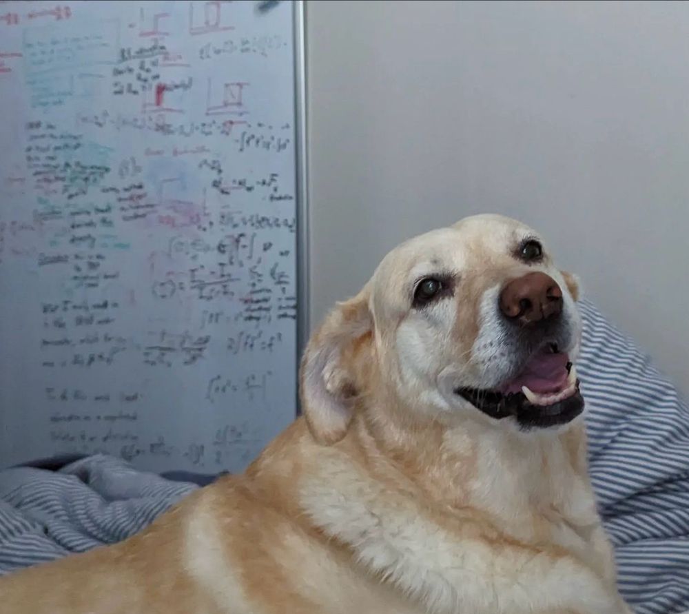 A mathematically sophisticated dog
