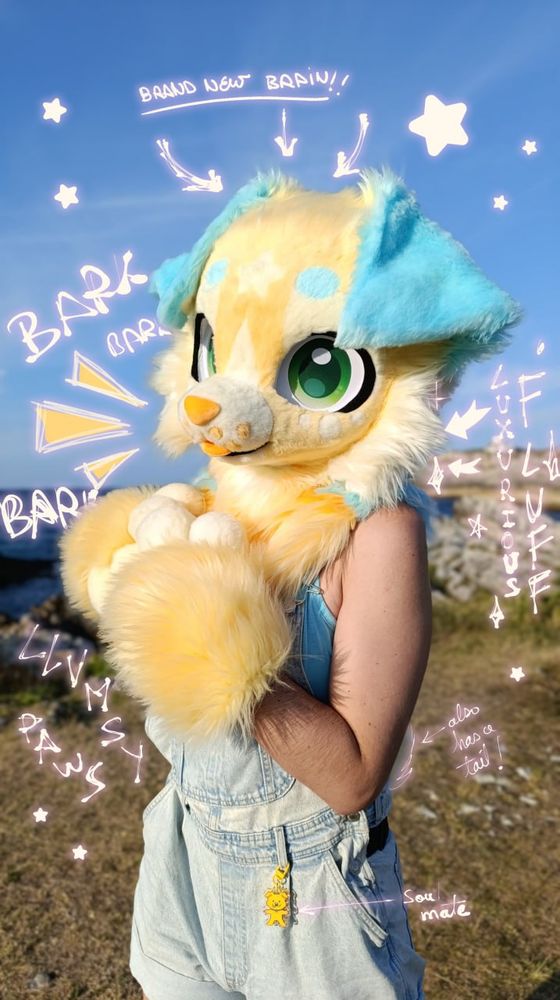 Picture of a fursuit of Ori with different poorly written captions