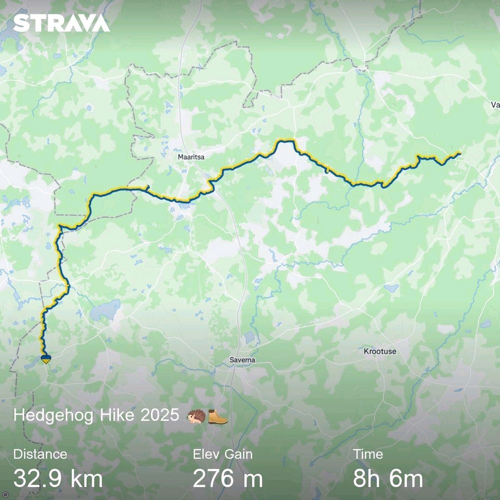 The route of the 2025 Hedgehog Hike, as recorded by Strava