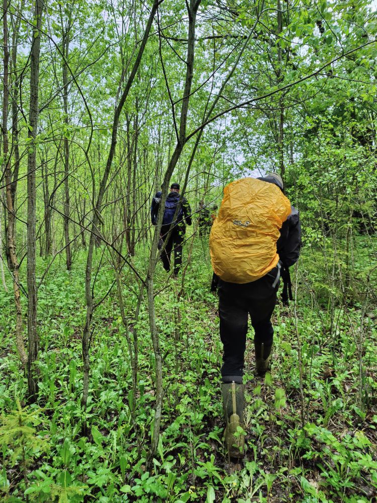 Heading out into the forest with the first drops of rain already falling.