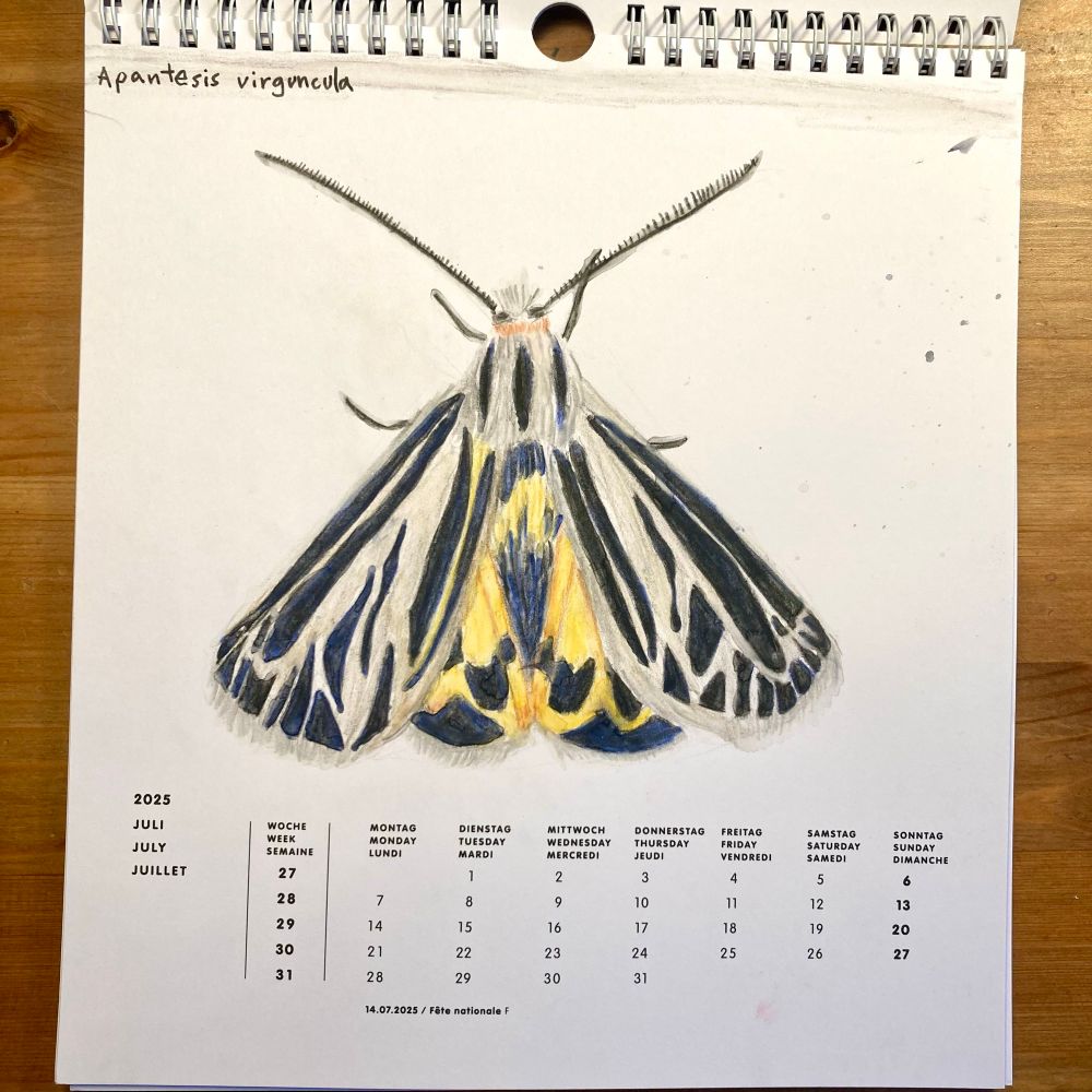 A drawing of a moth on a calendar page of July.