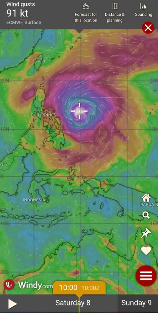 Screenshot from windy.com - Typhoon Fung-wong, currently east of Philippines with wind gusts exceeding 90 knots (167 km/h.