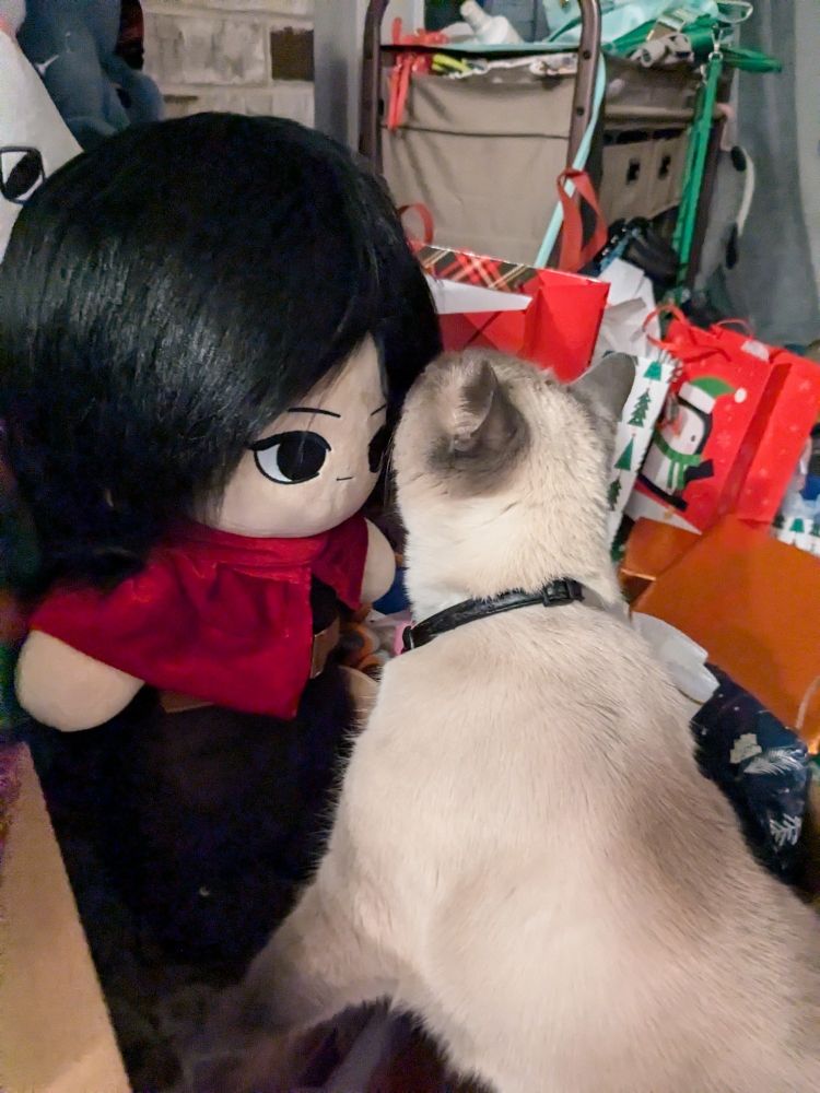 Rinsha Fana custom plush being kissed by the Siamese cat Jimmy