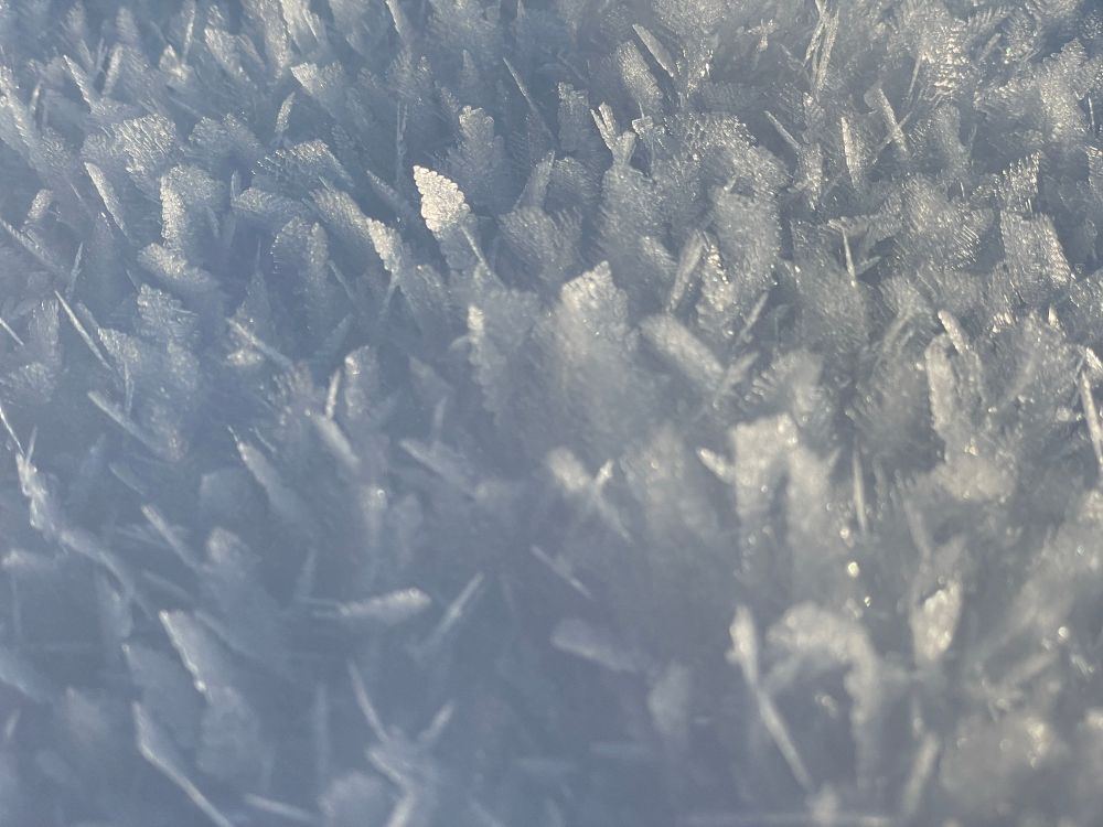 Spitze und teilweise blätterförmige Eiskristalle