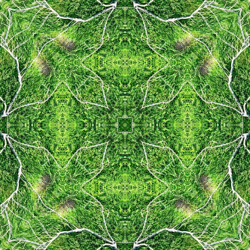 Kaleidoscopic pattern I made using the shape of a stick in the grass. #SciArt #NaturalPatterns #PatternsInNature #NaturalForms 