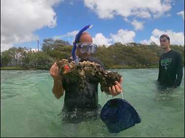 Me with a chunk of live rock in Kaneohe bay