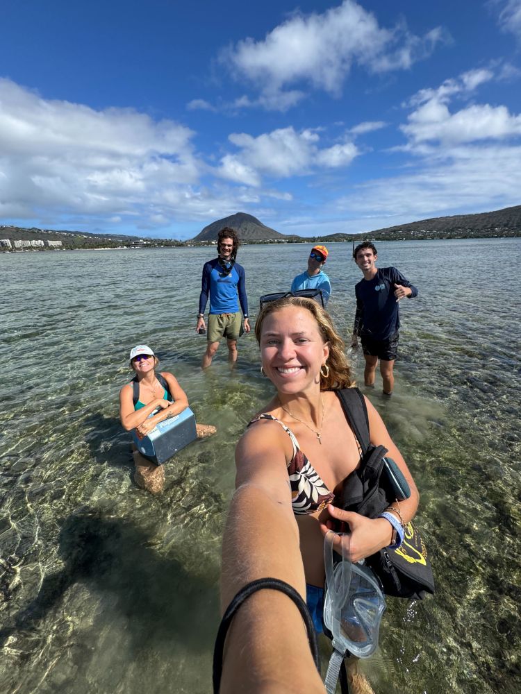 Five researchers carrying snorkel and field gear in beautiful Maunalua bay with Kokohead in the background