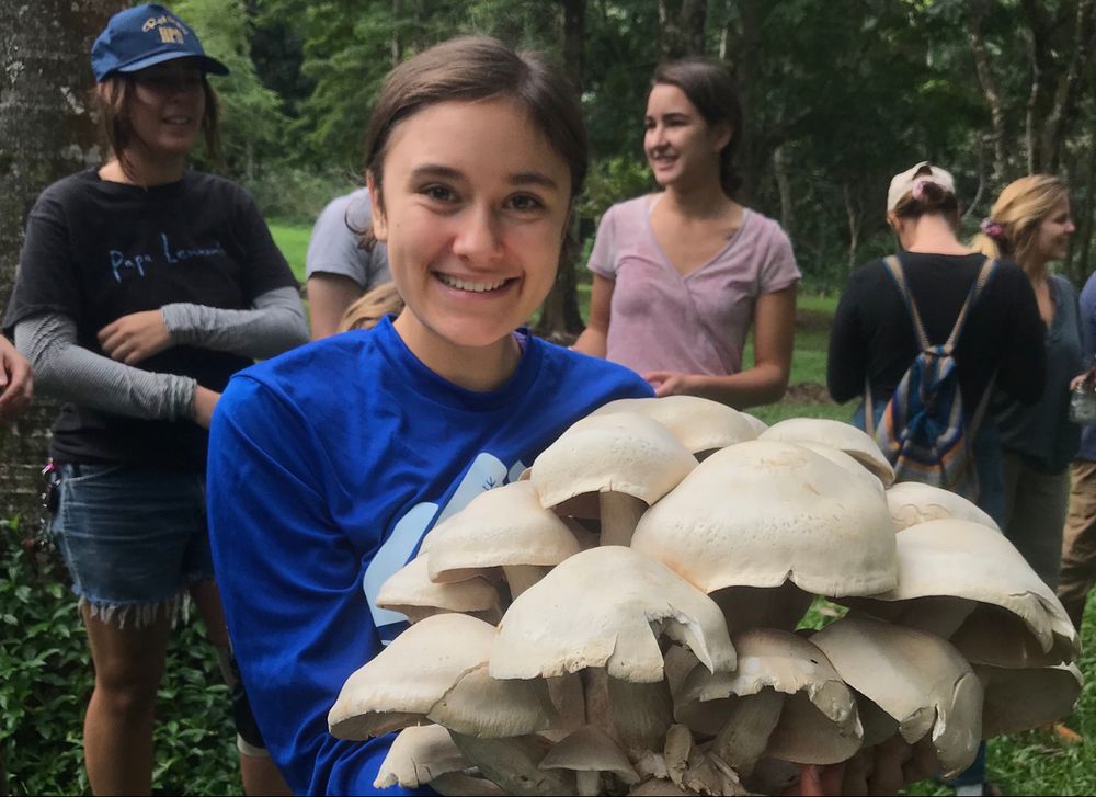 Ronja Steinbach holding a giant cluster of Macrocybe spectabilis