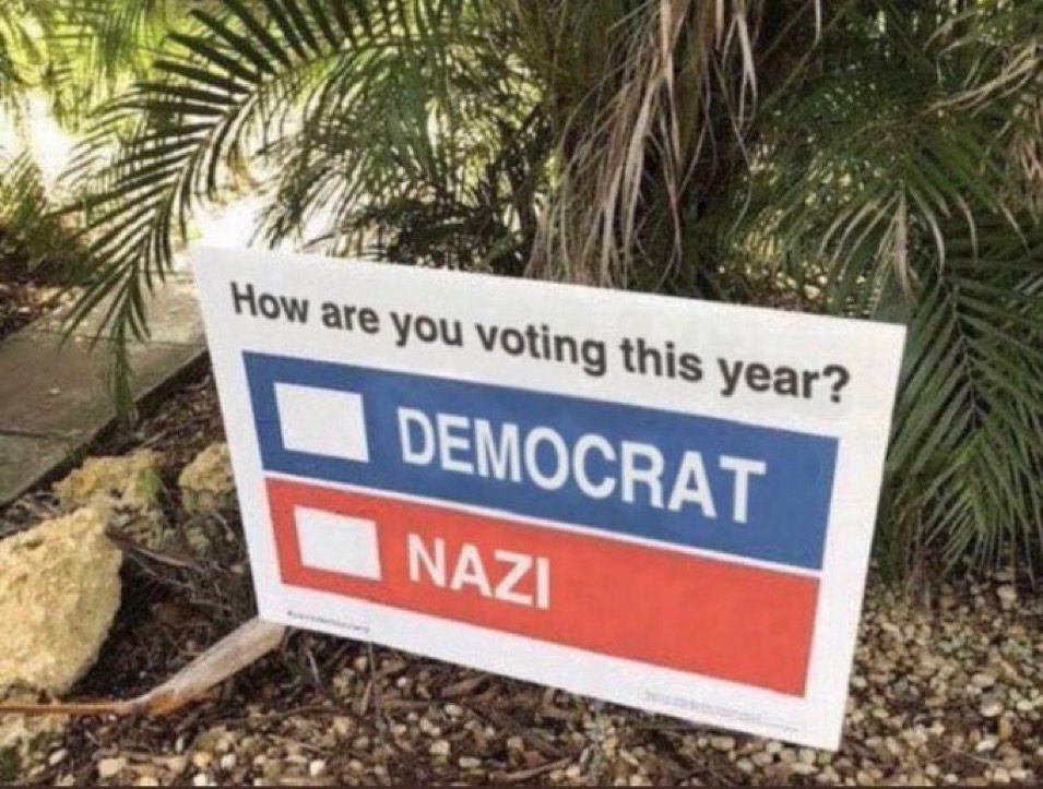 A yard sign that says: How are you voting this year? ▫️Democrat ▫️Nazi
