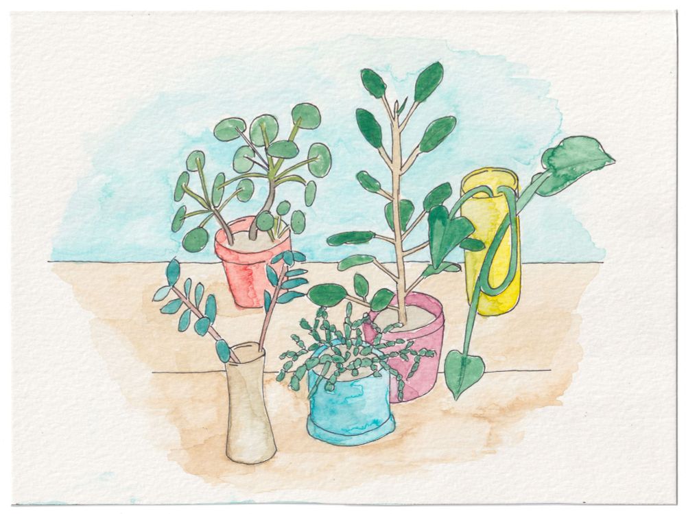 watercolor of houseplants
