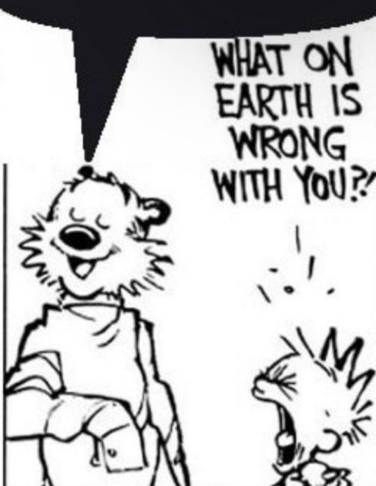 A calvin and hobbes panel, featuring hobbes making a proud face with a black speech bubble extending upward as to indicate he is saying what is being said by the person im replying to, and calvin is beside him screaming “what on earth is wrong with you?!”