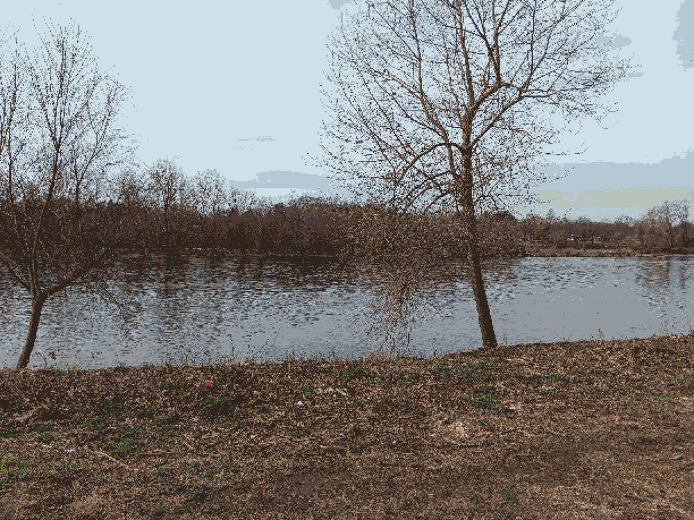 A pixelated riverside