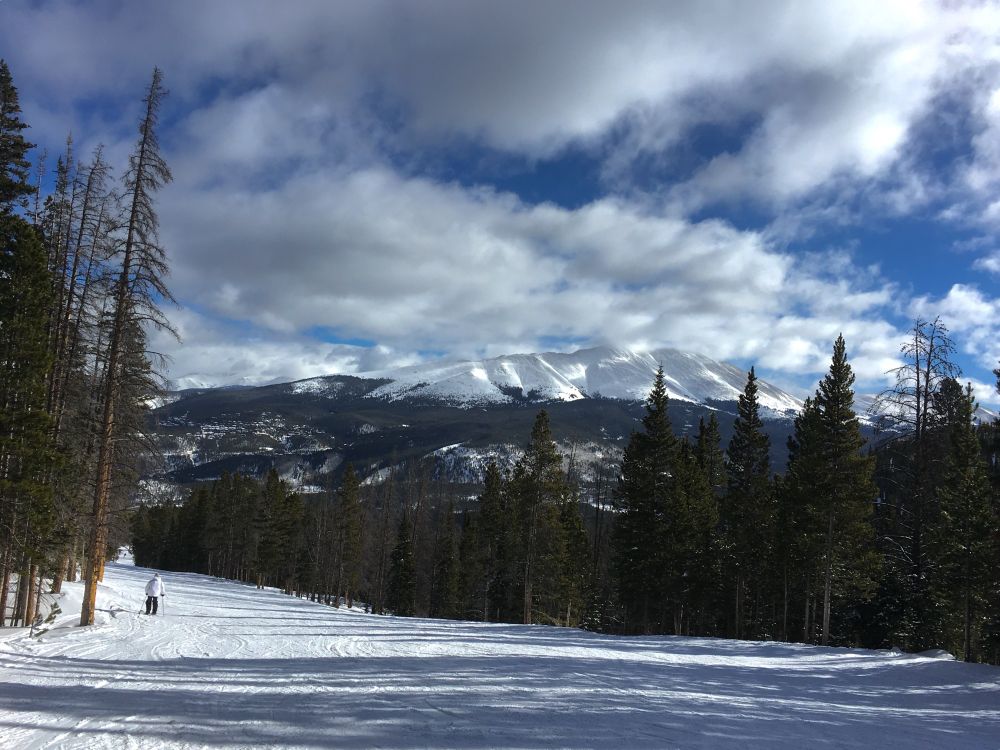 Snow capped mountains among pine trees in Colorado 