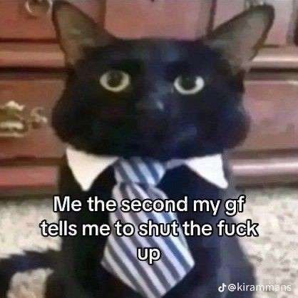 a cat wearing a tie and staring at the camera with the caption “me the second my gf tells me to shut the fuck up”