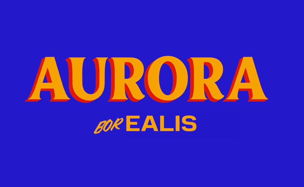 Aurora Borealis stylized like a Mamdani campaign sign