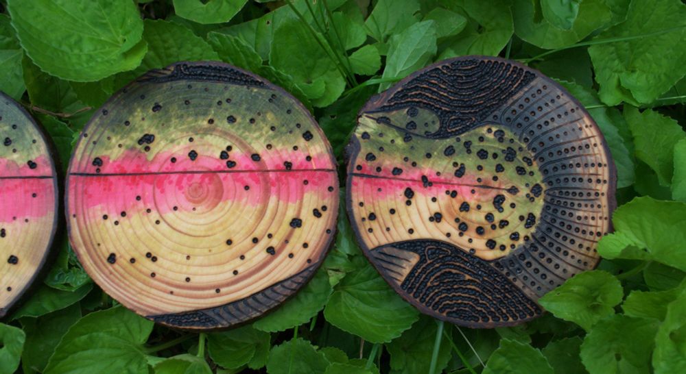 a photo with a background of green plants showing a close up shot of the third and fourth coasters in the rainbow trout set. 