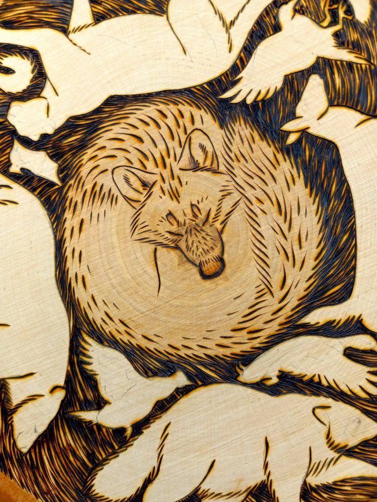 Work in progress woodburn art showing a sleeping wolf surrounded by a bear, mountain lion, deer, raccoon and various birds and a bat 