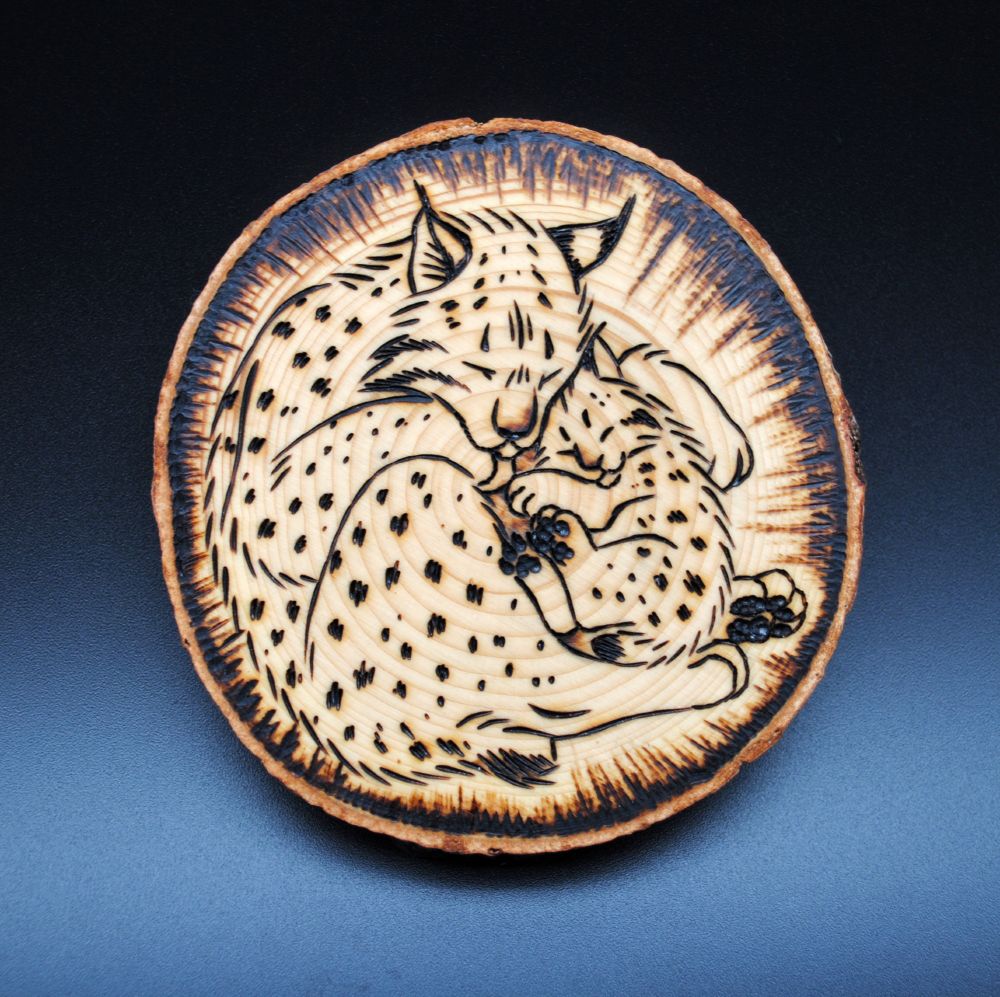 photo with a black gradient background showing a woodburned slice of pine, with the image of a sleeping adult bobcat with their baby <3