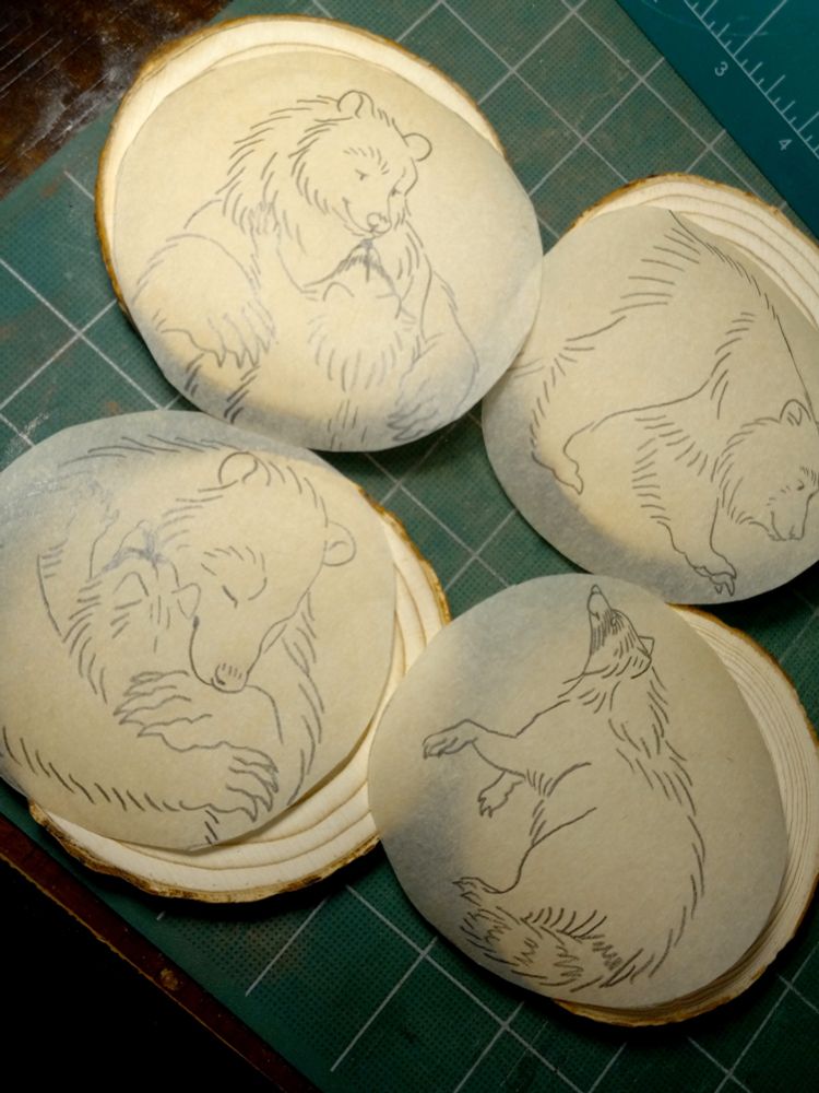 Photo showing four wood rounds with transparent pieces of paper cut out resting on top of them with sketches of a bear and raccoon in various poses