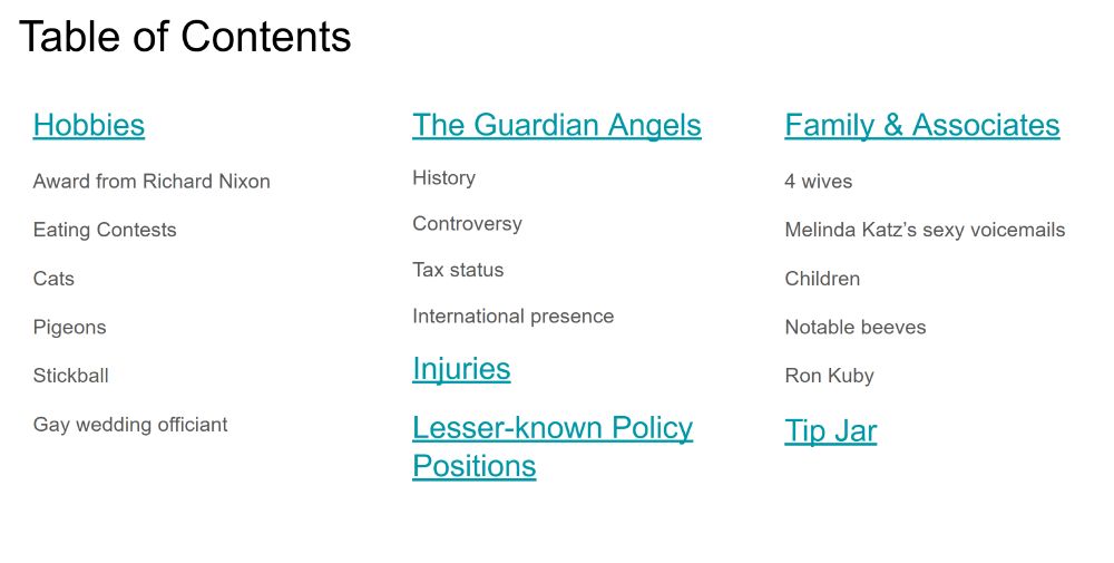 table of contents featuring such tantalizing sections as "eating contests," stickball," "gay wedding officiant," and "melinda katz's sexy voicemails"