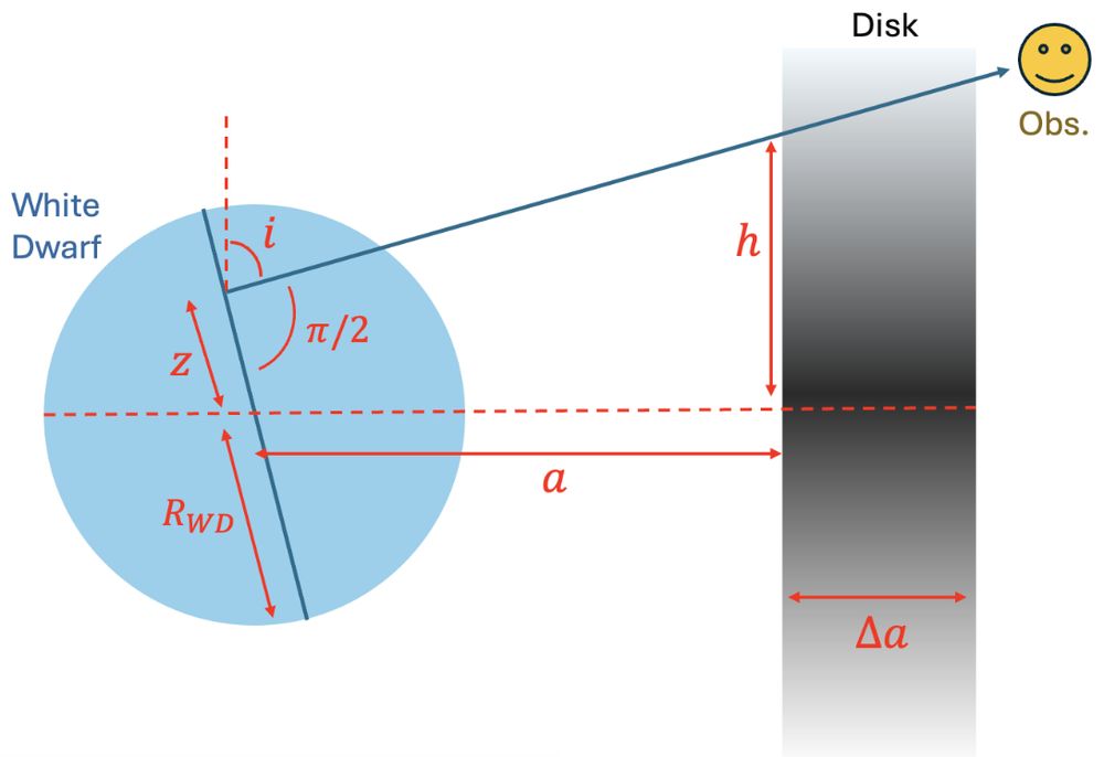 Cartoon (not to scale) showing the thick disk configuration and the
observer line of sight responsible for the transits.  From Bhattacharjee (2025).