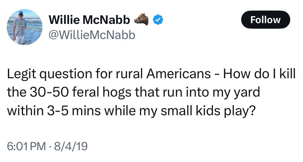 tweet saying "Legit question for rural Americans - How do I kill the 30-50 feral hogs that run into my yard within 3-5 mins while my small kids play?"

tweet dated 8/4/19