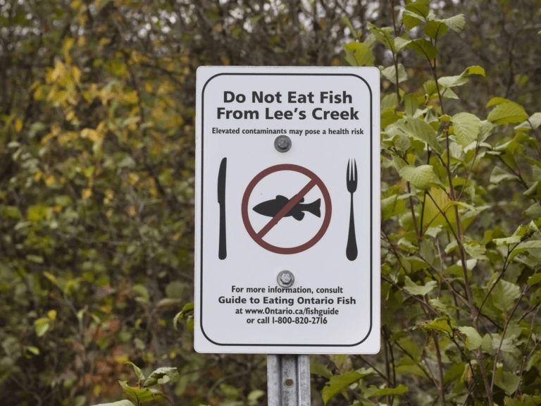 Signs warn people not to eat fish from Lees Creek. Photo by Peter J. Thompson /National Post
