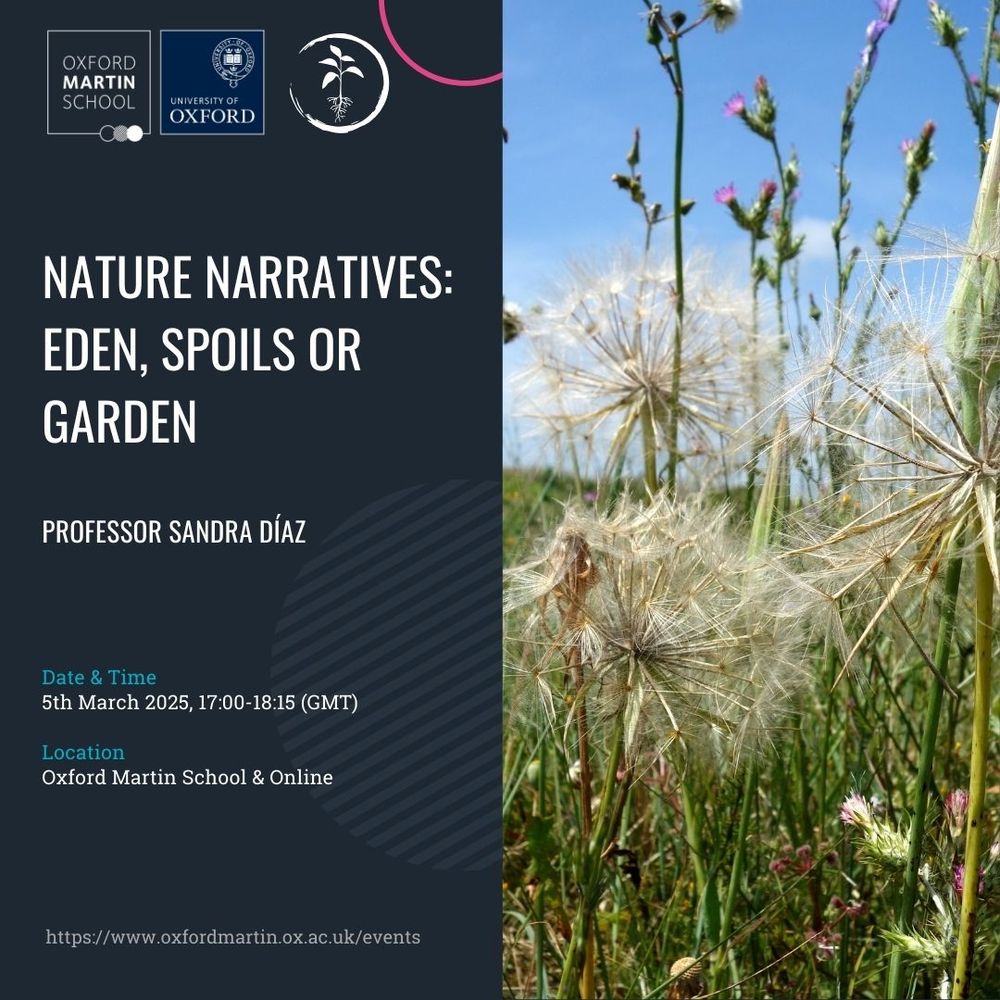 A poster for the event titled "Nature Narratives: Eden, Spoils or Garden" featuring Prof Sandra Díaz. The poster includes the Oxford Martin School and University of Oxford logos at the top. The text provides event details: Date & Time - 5th March 2025, 17:00–18:15 (GMT), Location - Oxford Martin School & Online. The right side displays a photograph of dandelion seed heads in a sunny field. The URL for more information is included: https://www.oxfordmartin.ox.ac.uk/events.