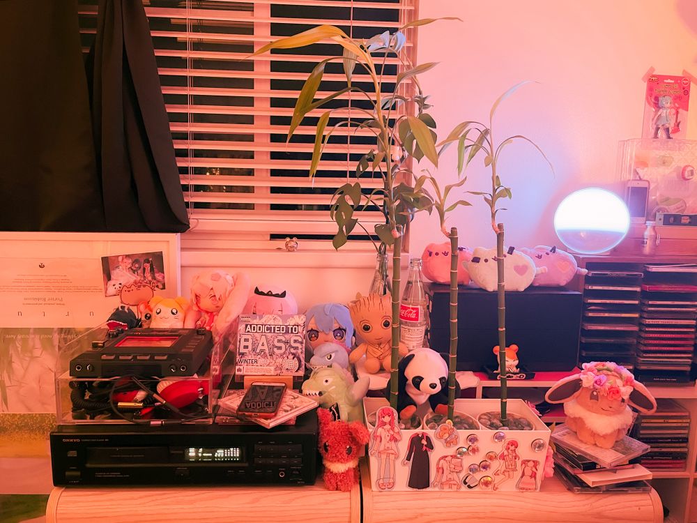Crowded table with plants, CD cases and audio equipment surrounded by an arrangement of plush. 