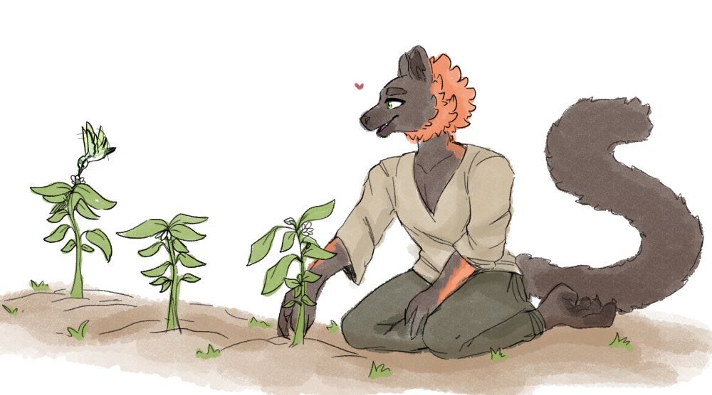 Rough colored sketch of a anthro Red Ruffed Lemur, masculine presenting, sitting on his knees before a trio of plants. He's wearing some loose linen clothes, and his expression is quietly delighted. Two plants away from the one he's tending to, a green hummingbird drinks from the bloom of one of the flowerbuds.