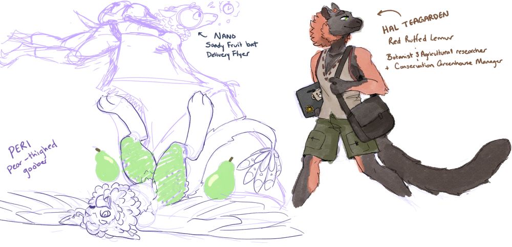Top left is a purple-ish sketch that's very rough of an anthro fruit bat flying straight forward. They seem a little distressed because of time. They have long armwings, fluffy neck and head fur, and a nice full bag of... stuff, strapped on their back. Text says: Nano - Sandy Fruit Bat - Delivery flyer. 
On the right, another anthromorphic character of a Red Ruffed Lemur, masculine in appearance, wearing a linen shirt and some green cargo shorts. He seems to be dearingly looking off to the side (probably at plants.) this is the only doodled that was flat colored (lazily). His fur colors are dark soot brown and orange. He's holding a laptop with stickers on it, and a messenger bag. Text says Hal Teagarden - Red Ruffed Lemur - Botanist and Agricultural researcher + conservation Greenhouse Manager.
Bottom left is... Peri. The anthro griffin, laying on their back with their legs in the air. Ratscratch said for me to draw something to do with pears, so I doodled two pears and Peri is showing the camera that their got pear thighs!