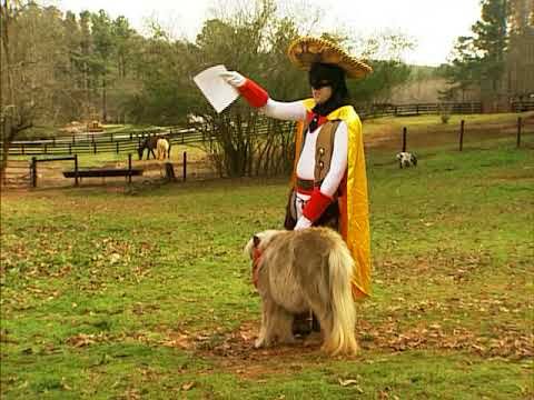 George Lowe as Space Ghost, in the Country