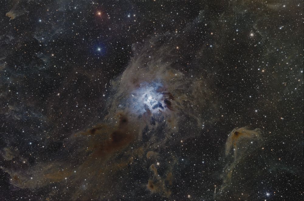 A photo of a reflection nebula and surrounding dark nebula. In the center is a bright star, whose blue light reflects on all of the dust structures near it. The further from the central star you look, more dark patches of cloud fill the frame. Some of the dark nebula are so murky and dense that they block out all starlight. 