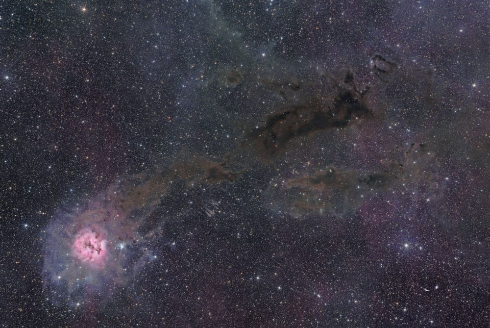 An astrophotography image of the Cocoon Nebula. In the bottom left is the main body of the Cocoon Nebula. It's rosy pink glow is surrounded by lighter clouds of dust. Leaving the Cocoon and going up and to the right are a complex set of dark nebulae which give it the look of a comet streaking across the image. 
