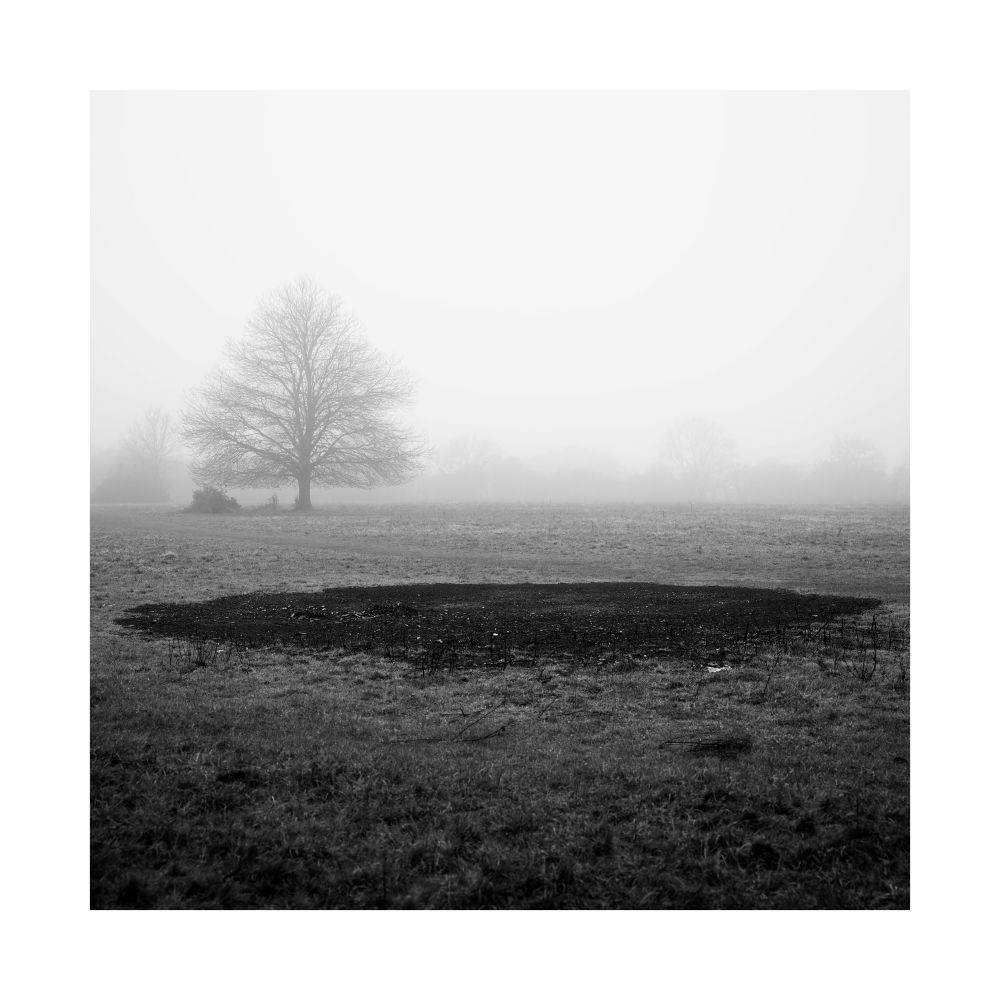 A black and white image of a foggy scene. Within the grass there is a dark burnt oval, where a bonfire was. In the distance, there is a bare tree. 

© Damian Ward 2025. 
