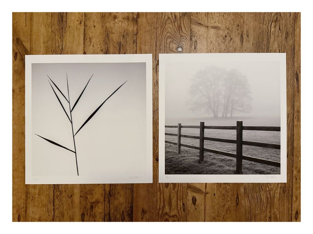 An image displaying two photographic prints on a wooden table. 