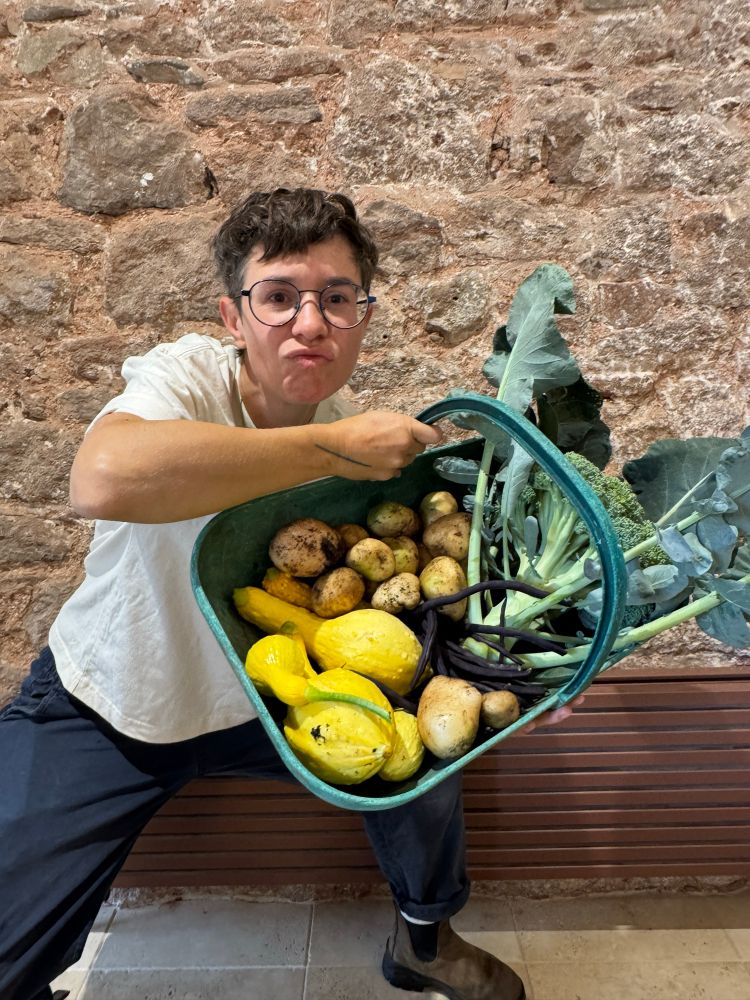 A person with white T-shirt holding up a basket of veg in front of a brick wall 