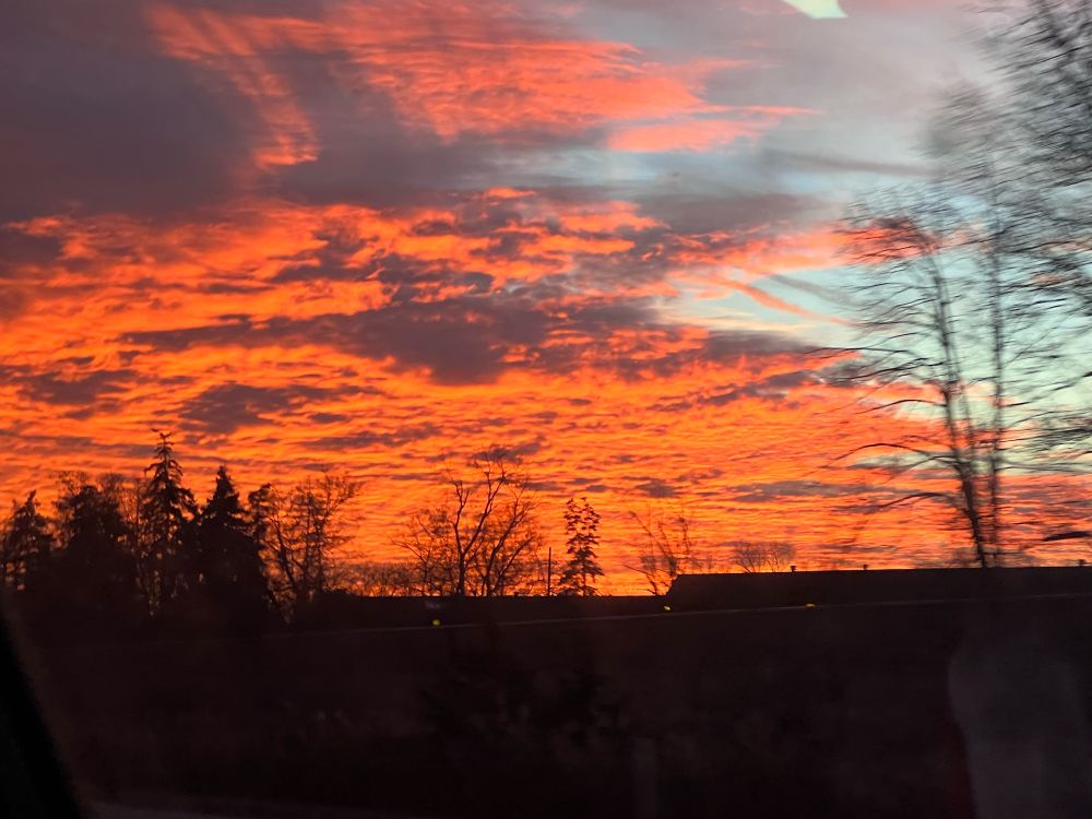 orange sunset that directly clashes with a light blue sky. very lumpy clouds and a silhouetted tree-line at the bottom. very midwest coded

