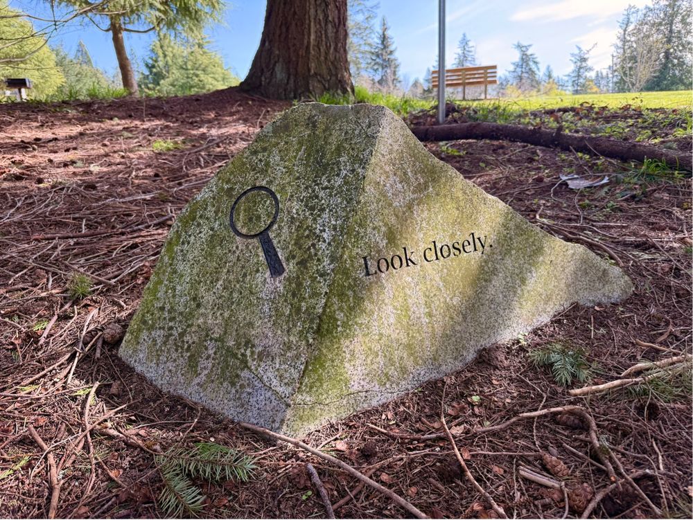 A photograph of a rock, sitting in the middle of a forest. Etched into the rock, maybe some piece of art, it’s a symbol of the magnifying glass and the words “look closely”.